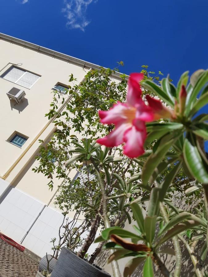 Hotel Executivo Araguaina Ngoại thất bức ảnh